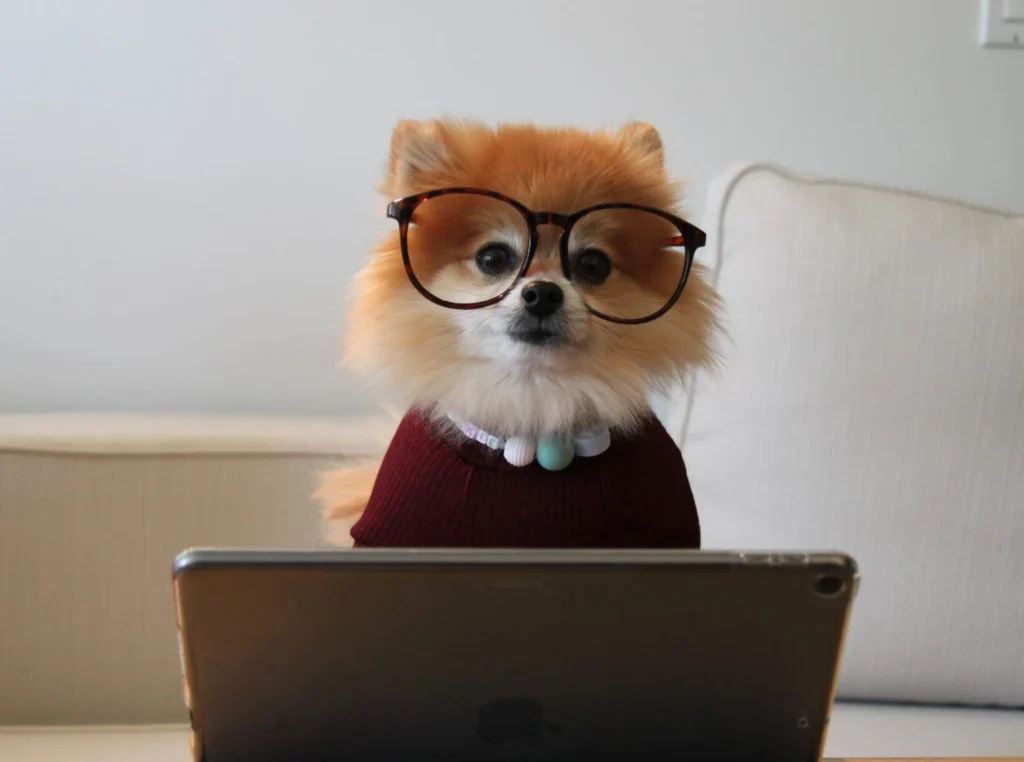 How to Make Money from Pet Blogging and Start a Pet Blog 